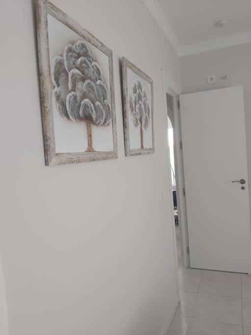 360° Seaview Benalbeach Apartment Benalmádena Exterior photo
